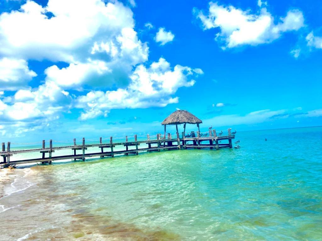 Beachfront Apartment With Swimming Pool. One Bedroom Celestun Extérieur photo