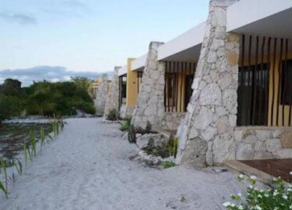 Beachfront Apartment With Swimming Pool. One Bedroom Celestun Extérieur photo