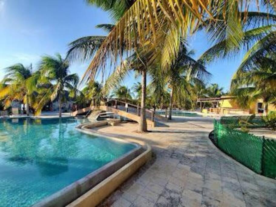 Beachfront Apartment With Swimming Pool. One Bedroom Celestun Extérieur photo