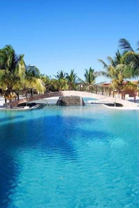 Beachfront Apartment With Swimming Pool. One Bedroom Celestun Extérieur photo
