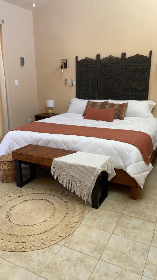 Beachfront Apartment With Swimming Pool. One Bedroom Celestun Extérieur photo