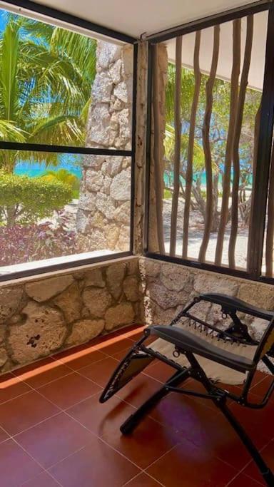 Beachfront Apartment With Swimming Pool. One Bedroom Celestun Extérieur photo