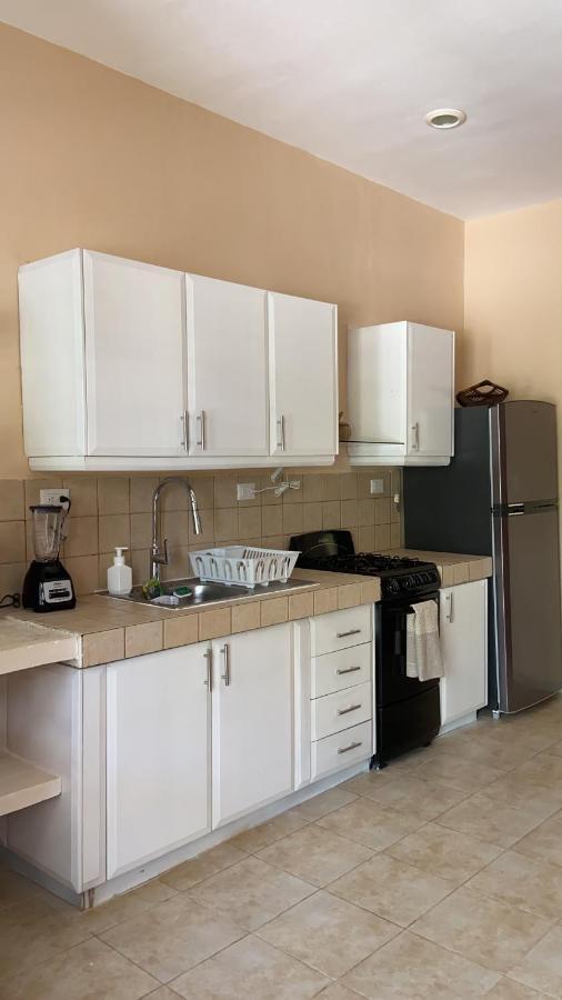 Beachfront Apartment With Swimming Pool. One Bedroom Celestun Extérieur photo