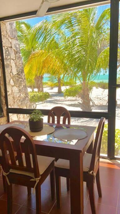Beachfront Apartment With Swimming Pool. One Bedroom Celestun Extérieur photo