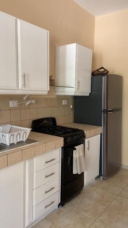 Beachfront Apartment With Swimming Pool. One Bedroom Celestun Extérieur photo