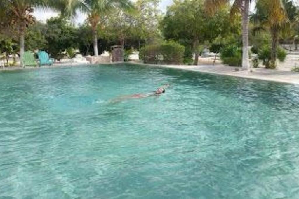 Beachfront Apartment With Swimming Pool. One Bedroom Celestun Extérieur photo