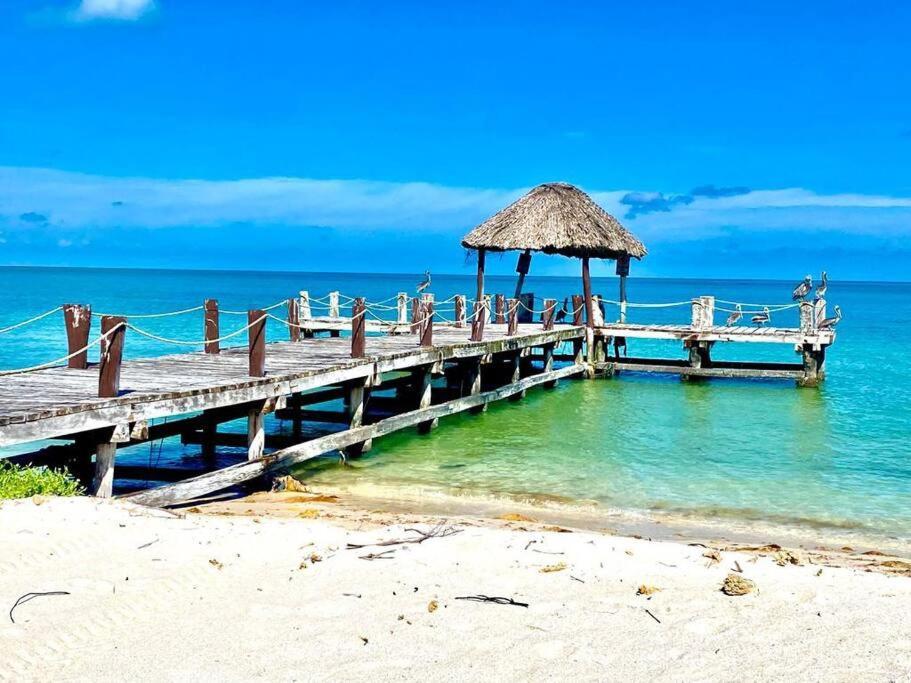 Beachfront Apartment With Swimming Pool. One Bedroom Celestun Extérieur photo