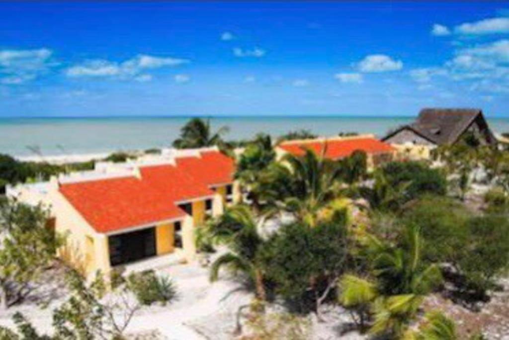 Beachfront Apartment With Swimming Pool. One Bedroom Celestun Extérieur photo